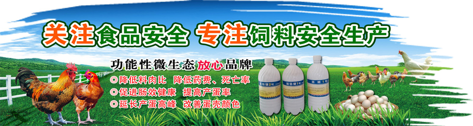 招商加盟