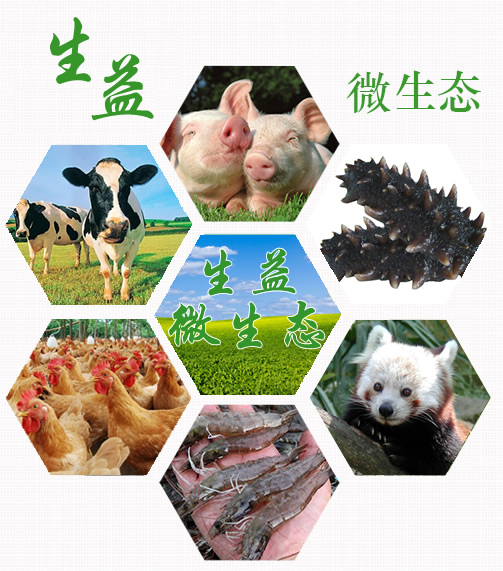 希望微生态饲料添加剂八大功能